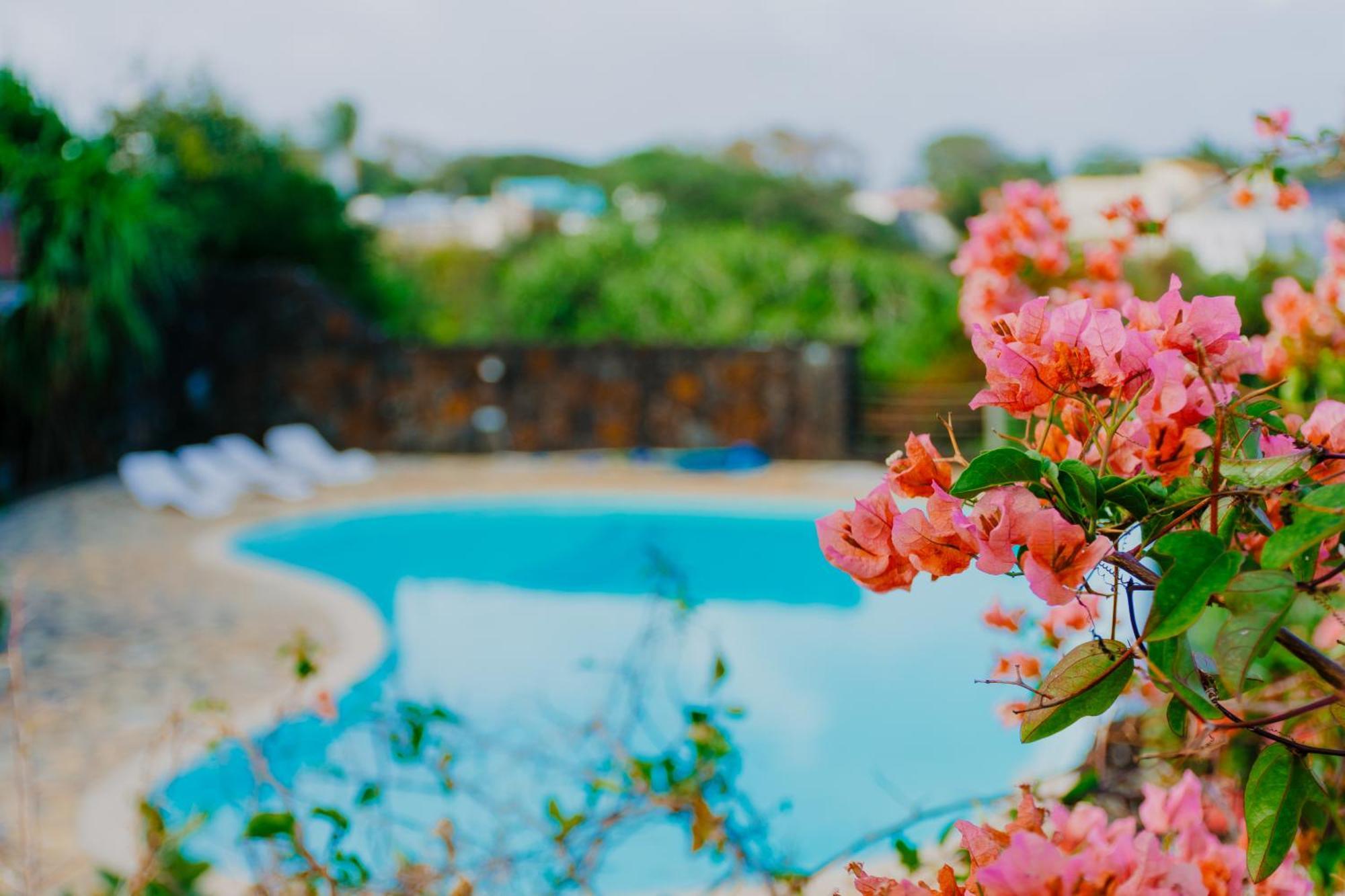 Boutique Villa On The Rocks With Stunning Sea Views, Infinity Pool & Private Sea Trou d'Eau Douce Exterior foto